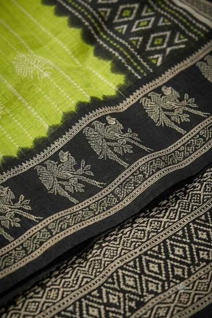 Light green georgette saree with dark boundary