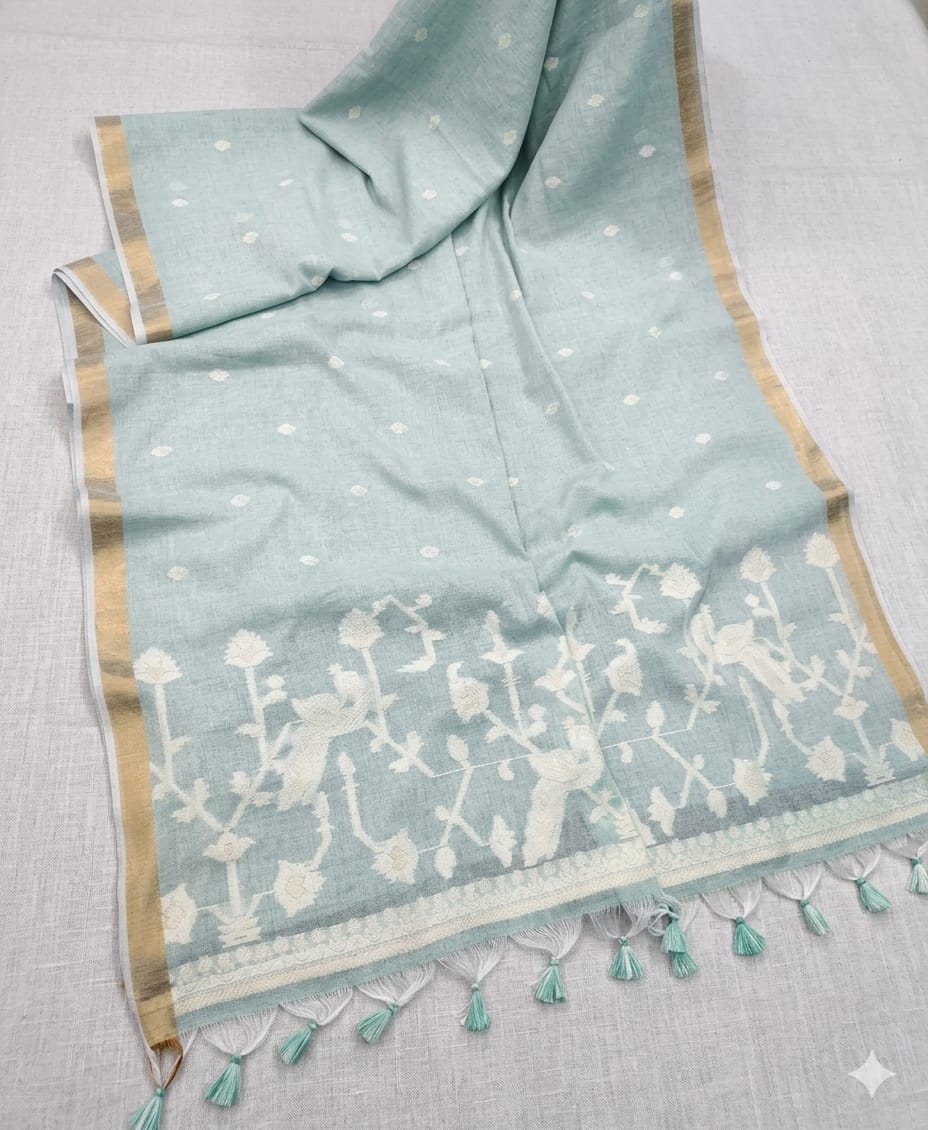 Shining cotton with jari embroidery boundary